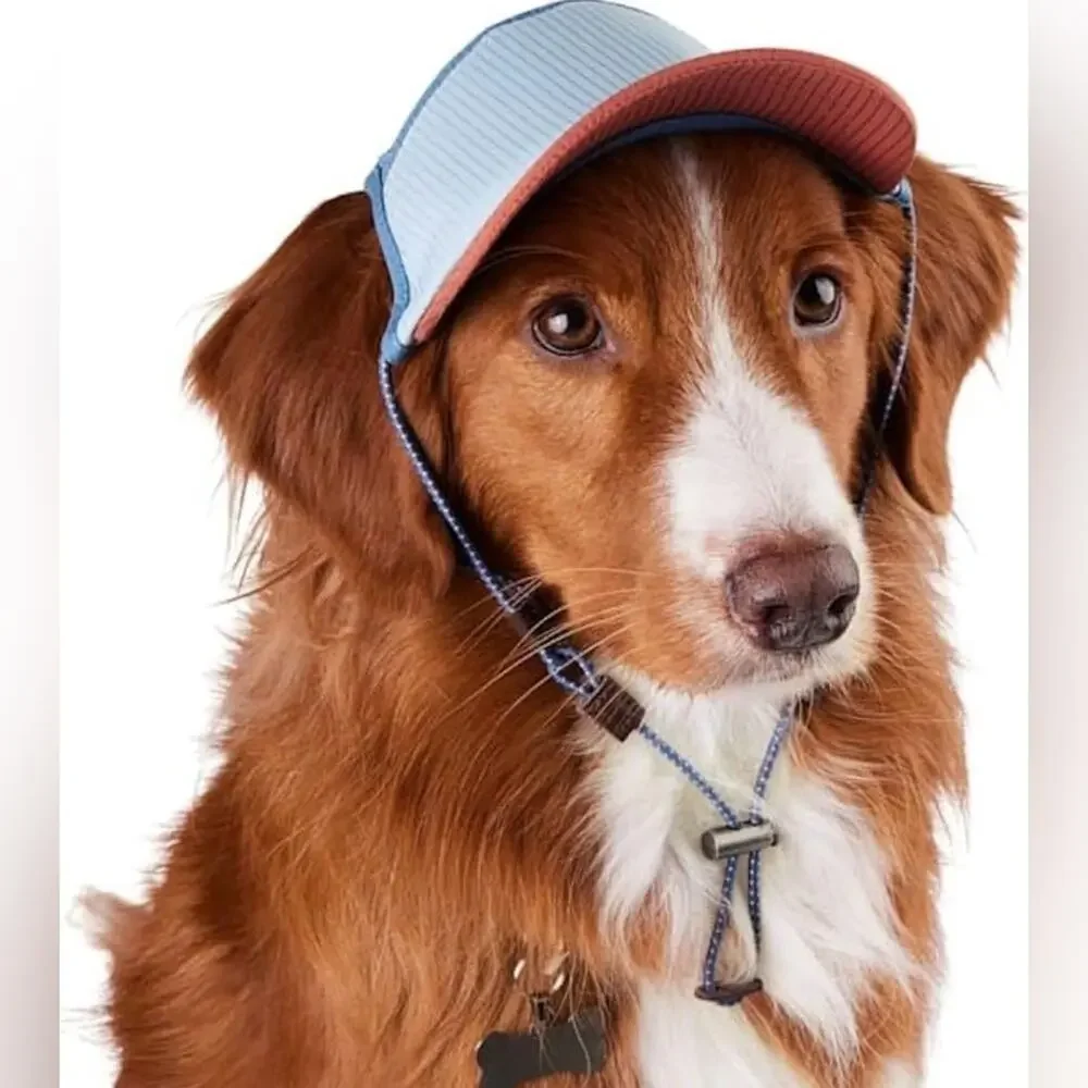 Reddy Lavender Bucket Hat / Sun Visor for dogs L/XL